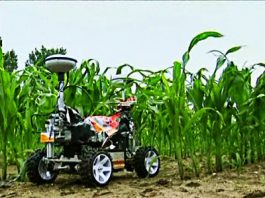 UNA AGRICULTURA ROBOTIZADA REDUCE EN UN 30% LOS COSTOS