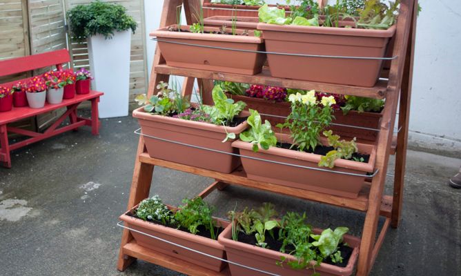 Un huerto para tu terraza - Portal Agro Chile