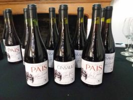 Presentan los primeros “Vinos Patrimoniales de Chile”