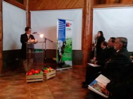 Sector Hortícola de la región es monitoreado con herramientas satelitales