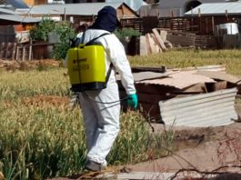MINAGRI y municipios de la región coordinan acciones de capacitación para uso seguro de plaguicidas