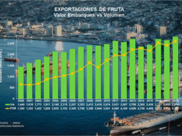 En un 6,1% crecerían las exportaciones de fruta fresca durante 2018, a pesar de preocupación por guerra comercial