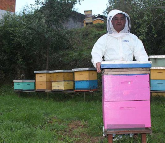 Expertos Internacionales de la Apicultura se darán cita en la Comuna de Monte Patria