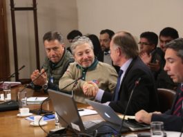 Inédito acuerdo entre Minagri y AFSAG: Comisión de Agricultura aprueba en general proyecto que fortalece al Servicio Agrícola y Ganadero