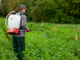 Pulverizadores Manuales: Cuatro consideración para su uso