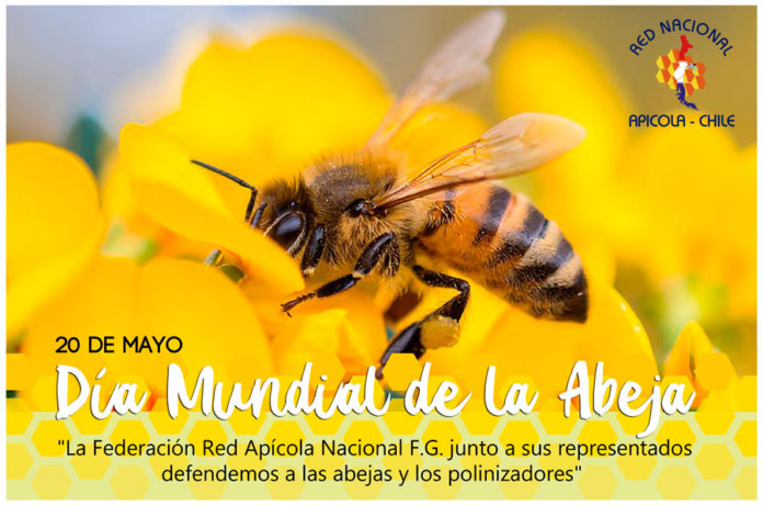 Red Apícola Nacional