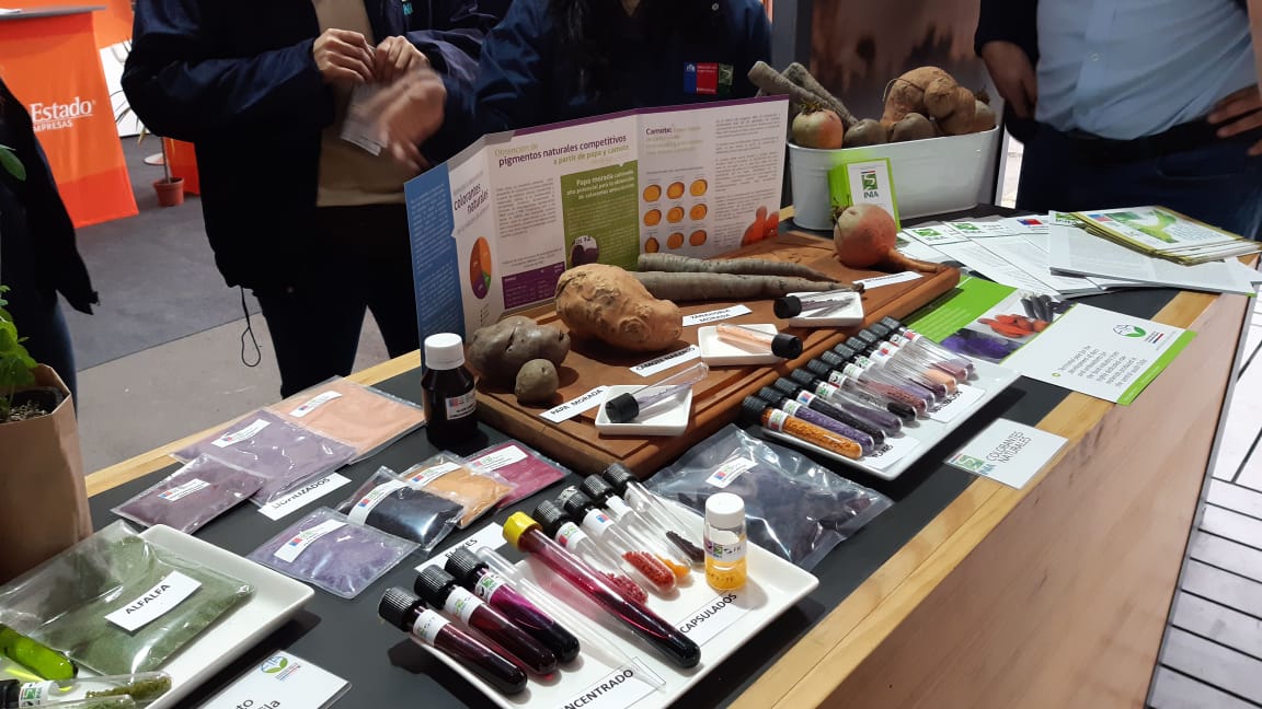 Expo Chile Agrícola 2019