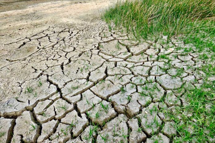Cambio Climático