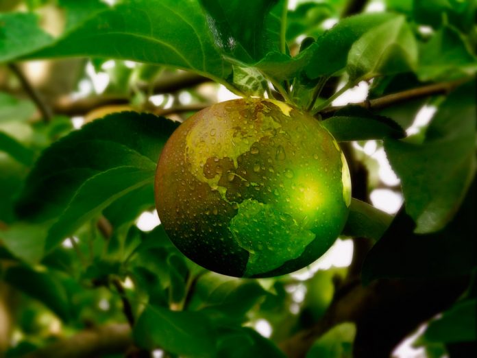 Fruittrade2019
