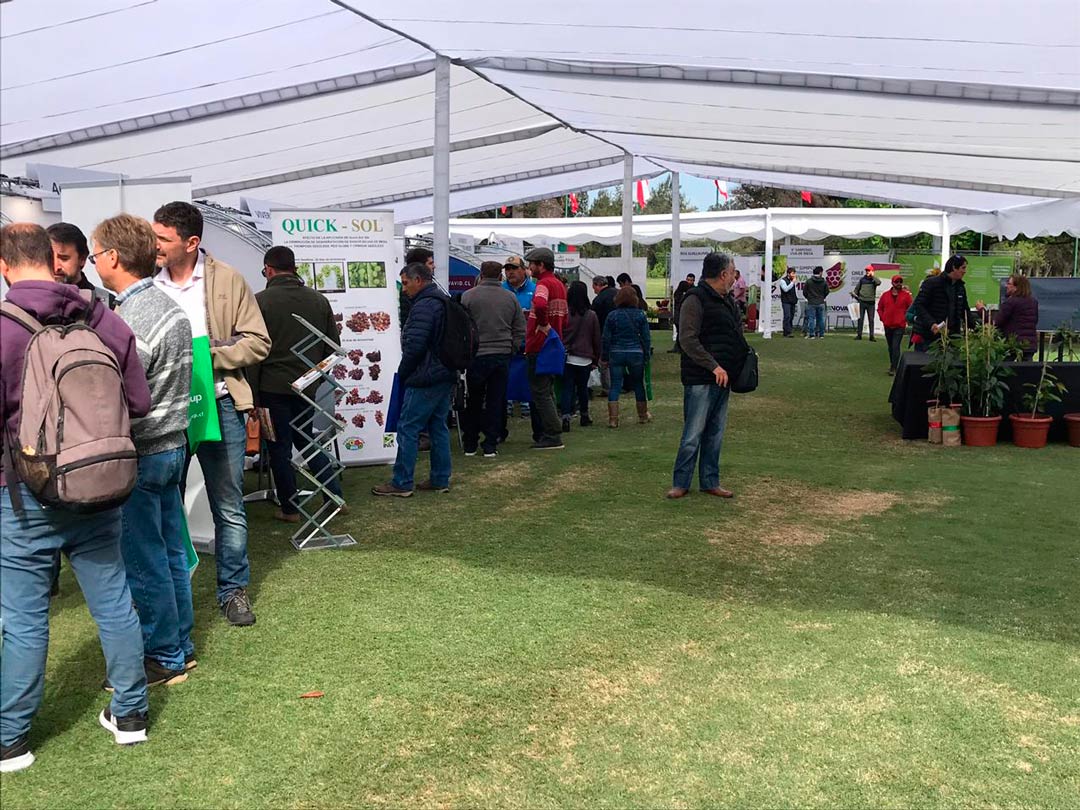 agro-planttrade-2019