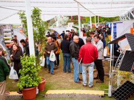 Agro Planttrade 2019