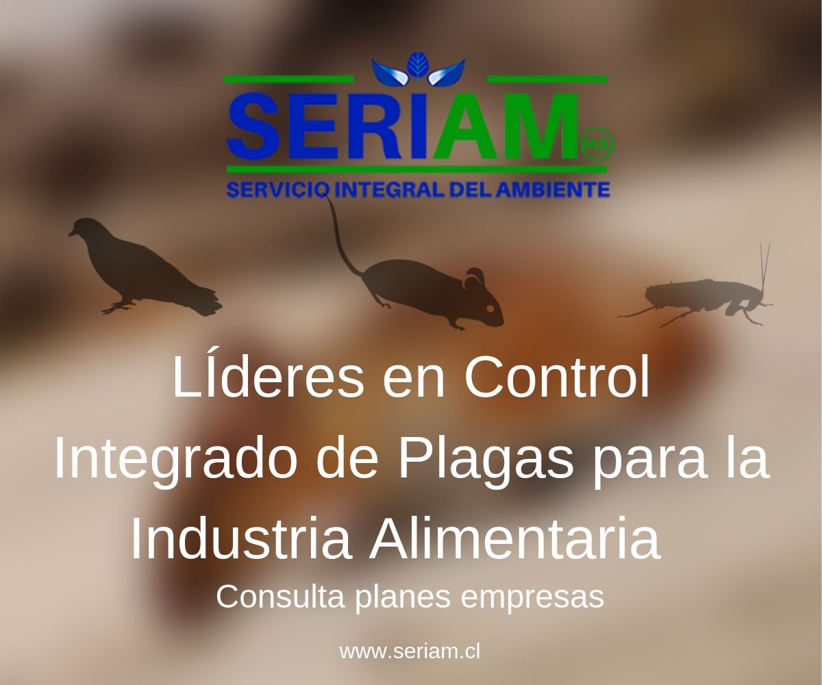 Nuevas estrategias para la prevención y control de roedores en zonas ...