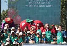 dia-nacional-de-las-frutas-y-las-verduras