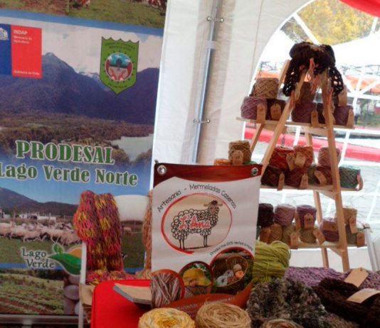 Expo Mujer Rural 2019