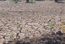 Cambio Climático