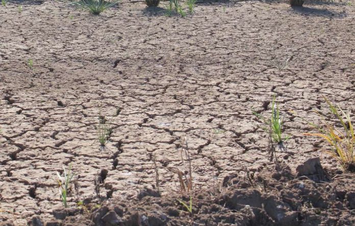 Cambio Climático