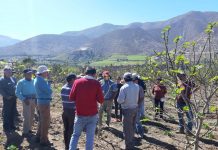 alternativas-productivas-de-bajo-requerimiento-hidrico