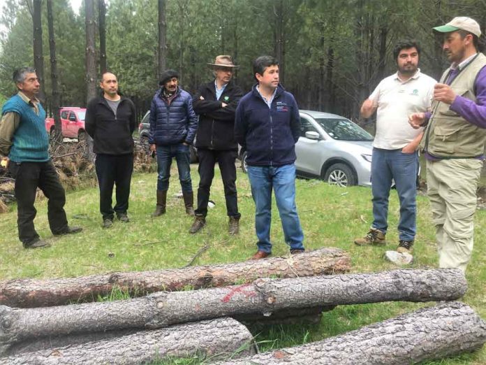 forestal