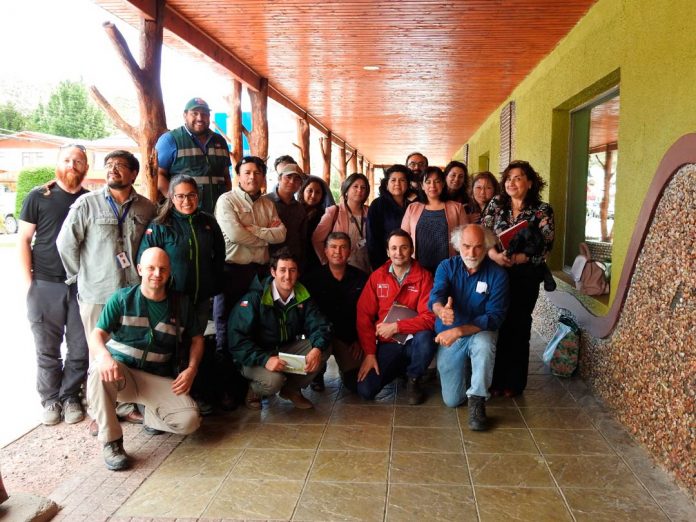 Plaguicidas y Fertilizantes