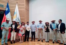 Diplomado en fruticultura de la UCT Universidad Católica de Temuco