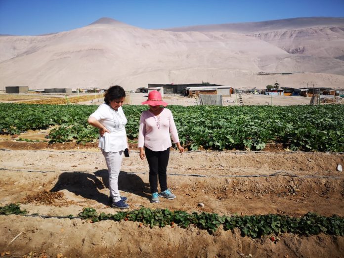 capacitación agrícola