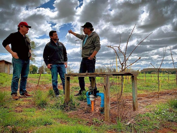 Seguros agrícolas