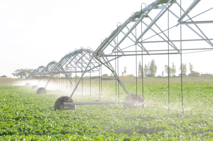 riego agrícola