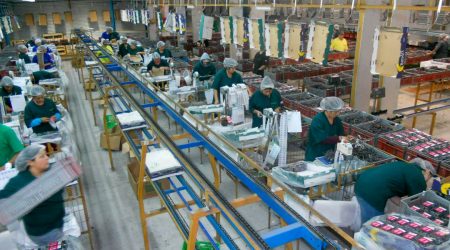pma-agro-industria-consejos-y-mejores-practicas-packaing PMA mejores prácticas agro industria