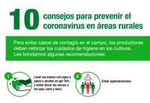 Coronavirus en áreas rurales