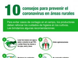 Coronavirus en áreas rurales