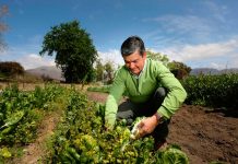 agricultor