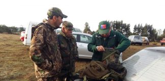 Actividades de caza
