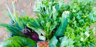 Agricultores de Indap Biobío