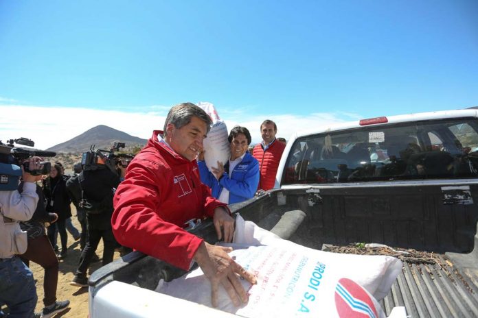 Director nacional de INDAP Carlos Recondo
