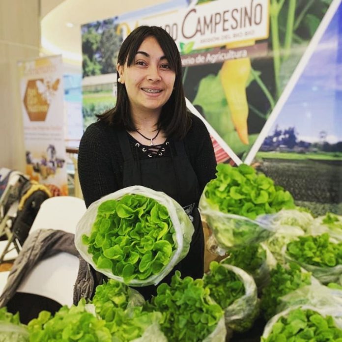 Mercado campesino online