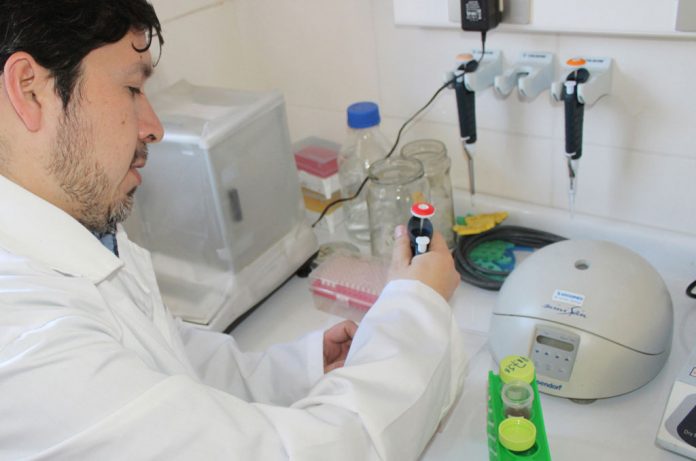 Nanotecnología Industría alimentaria
