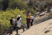 restauración ecológica de laderas