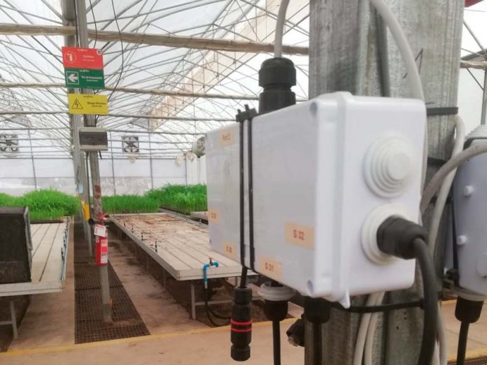 Riego automatizado
