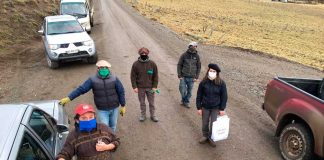 campesinos coyaique