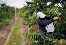 estrategias de apoyo a agricultores