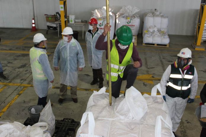 exportación de semillas