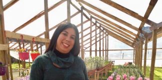 Mercado Campesino Online