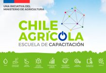 Escuela Chile Agrícola