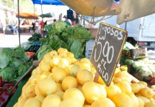 cítricos de Chile al mercado chino