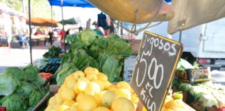 cítricos de Chile al mercado chino