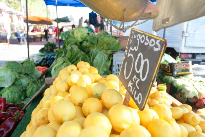cítricos de Chile al mercado chino