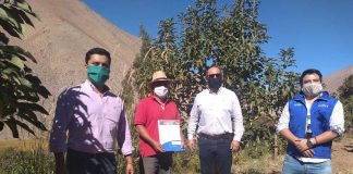 obras de acumulación y riego por goteo