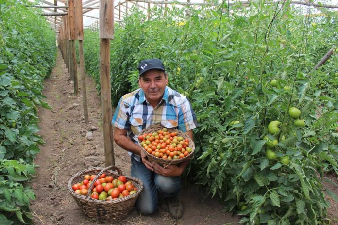 productor agricultura limpia