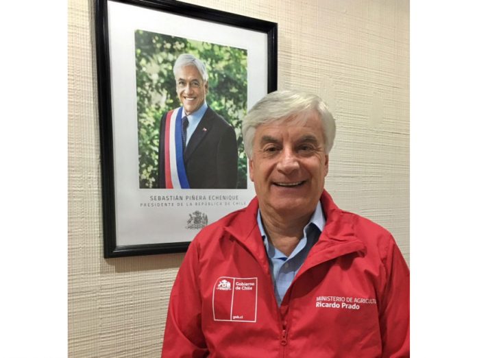 Ricardo Prado Cuevas. Director Ejecutivo de Agroseguros,