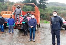 Agricultores donan más de 8 toneladas de papas para ollas comunes de la Región del Biobío